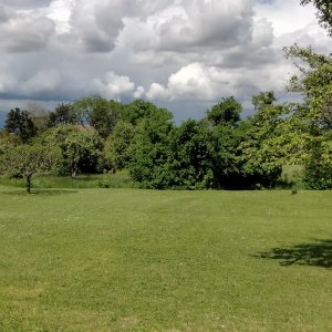 DEUX BEAUX TERRAINS CONSTRUCTIBLES A VENDRE A COLLONGES-SOUS-SALEVE
