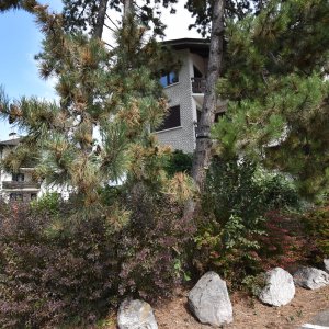 CHARMANT APPARTEMENT ENTIEREMENT RENOVE AU CENTRE DE VEIGY-FONCENEX